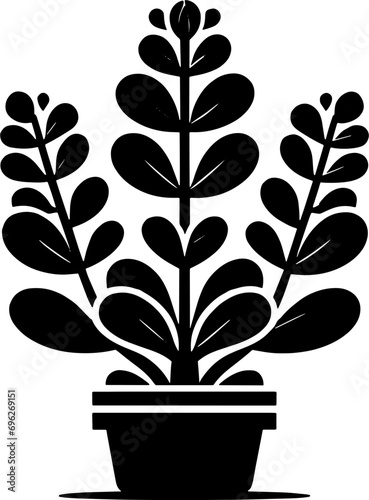 Escalloniaceae plant icon 6