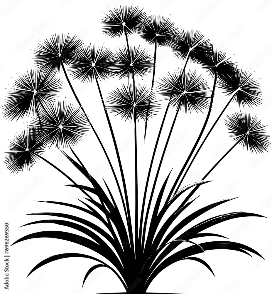 Eriocaulaceae plant icon 3 Eriocaulaceae plant icon 3