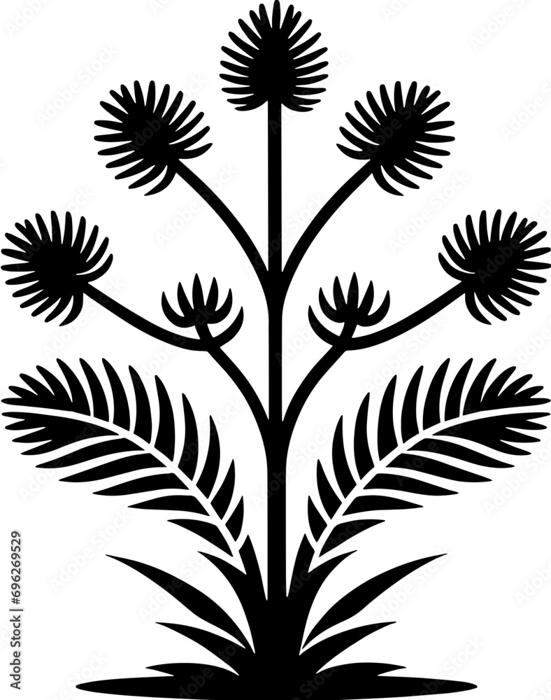 Emblingiaceae plant icon 3 Emblingiaceae plant icon 3