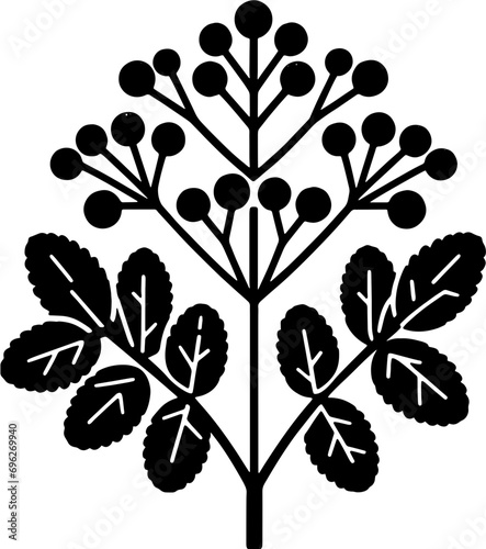 Ecdeiocoleaceae plant icon 12 photo