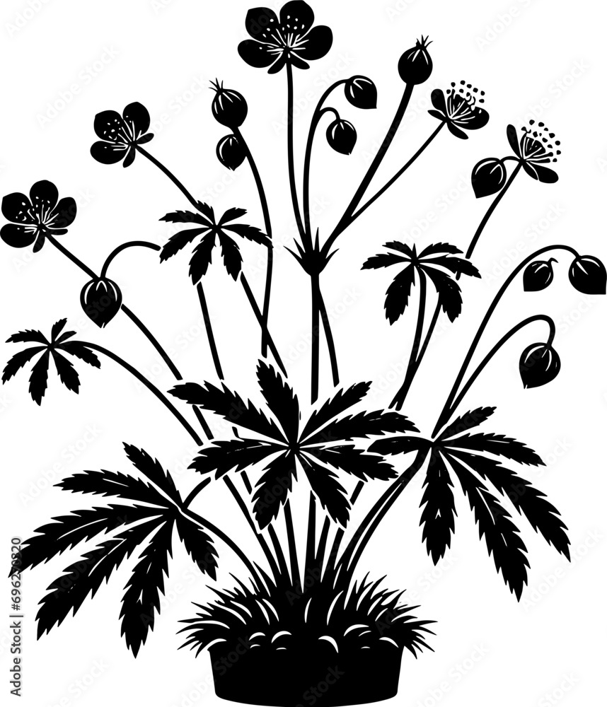 Droseraceae plant icon 3
