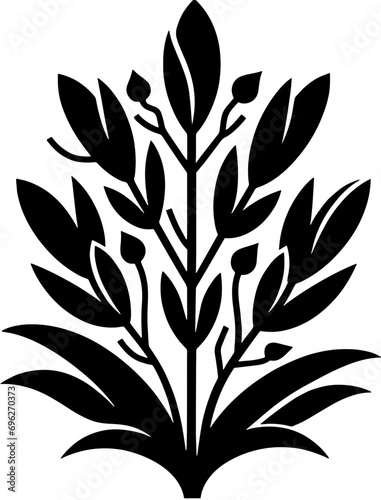 Doryanthaceae plant icon 9 photo