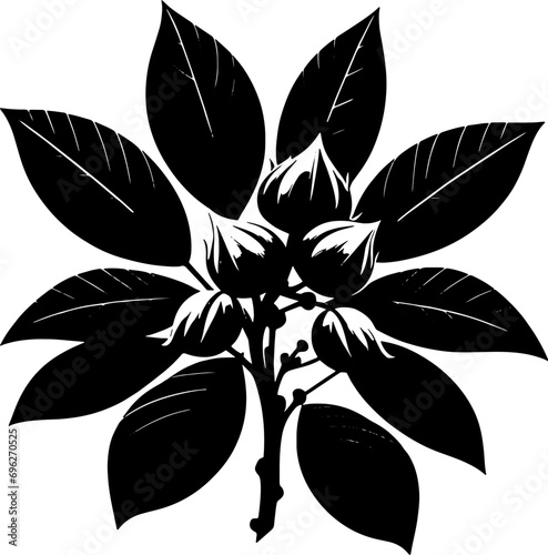 Dipterocarpaceae plant icon photo