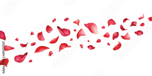 Watercolor red rose petals falling on white background. photo
