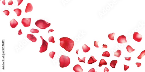 Watercolor red rose petals falling on white background.
