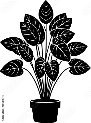 Dioscoreaceae plant icon 12