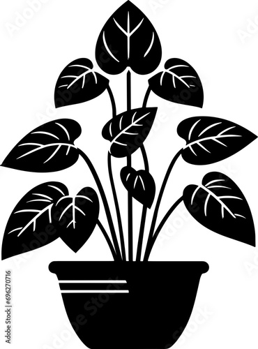 Dioscoreaceae plant icon 14