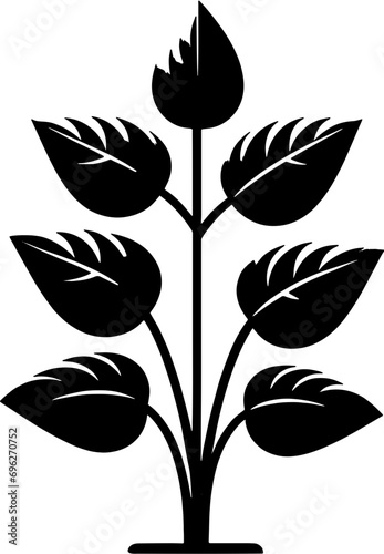Dioscoreaceae plant icon 9
