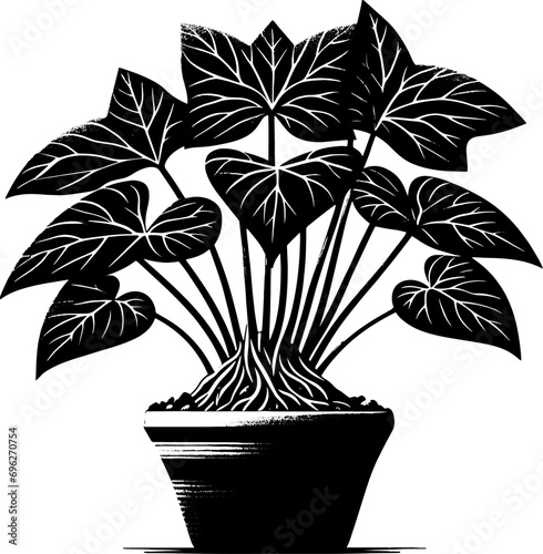 Dioscoreaceae plant icon 11