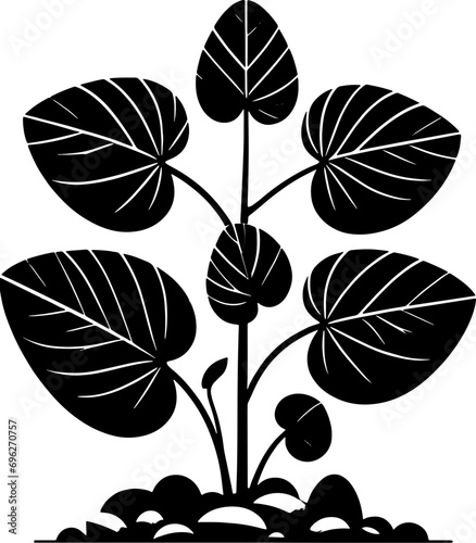 Dioscoreaceae plant icon 7