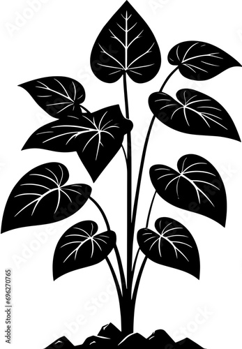 Dioscoreaceae plant icon 8