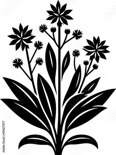 Didiereaceae plant icon 10