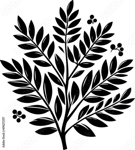 Cyrillaceae plant icon