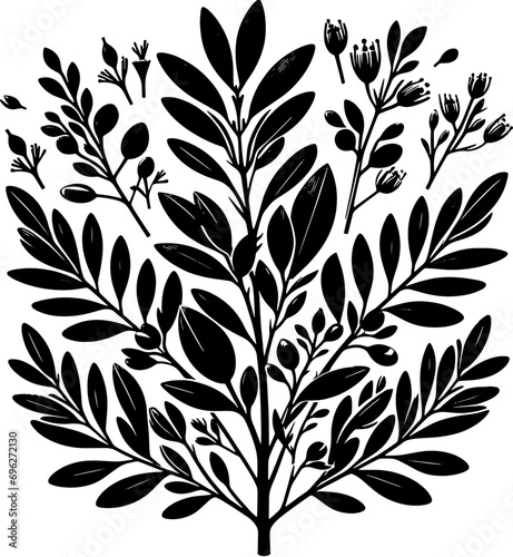 Cyrillaceae plant icon 14