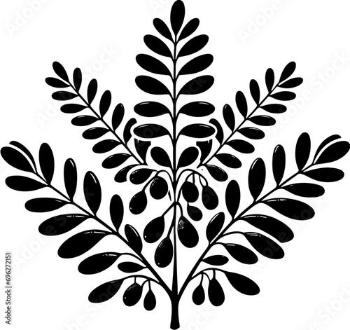 Cyrillaceae plant icon 11
