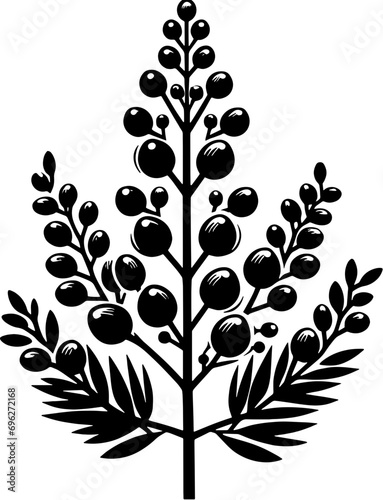 Cyrillaceae plant icon 9