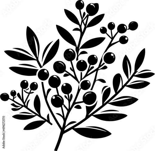 Cyrillaceae plant icon 8