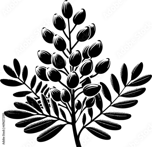Cyrillaceae plant icon 10 photo