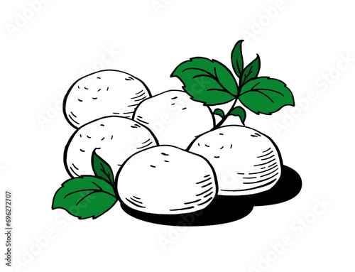 Mozzarella cheese balls for restaurant menus Packaging Vector Illustration Hand drawn