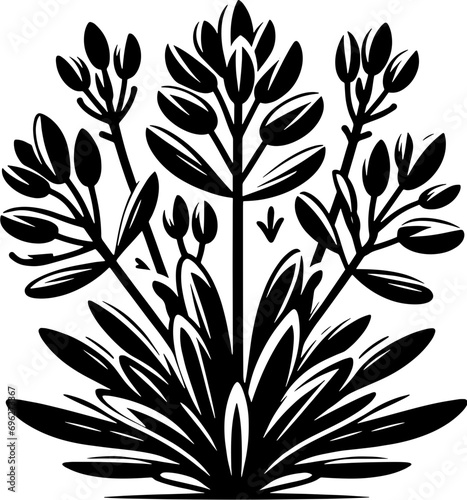 Corsiaceae plant icon