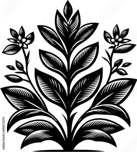 Corsiaceae plant icon 14