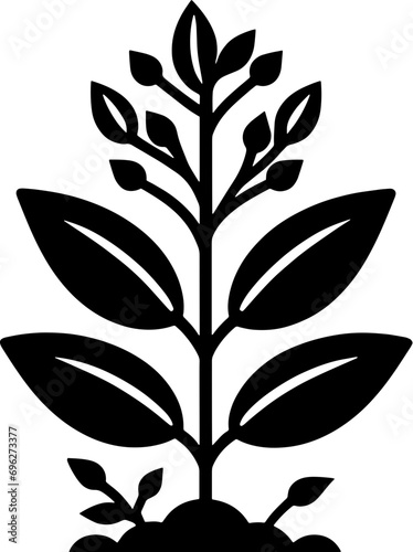 Corsiaceae plant icon 15