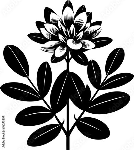 Corsiaceae plant icon 11