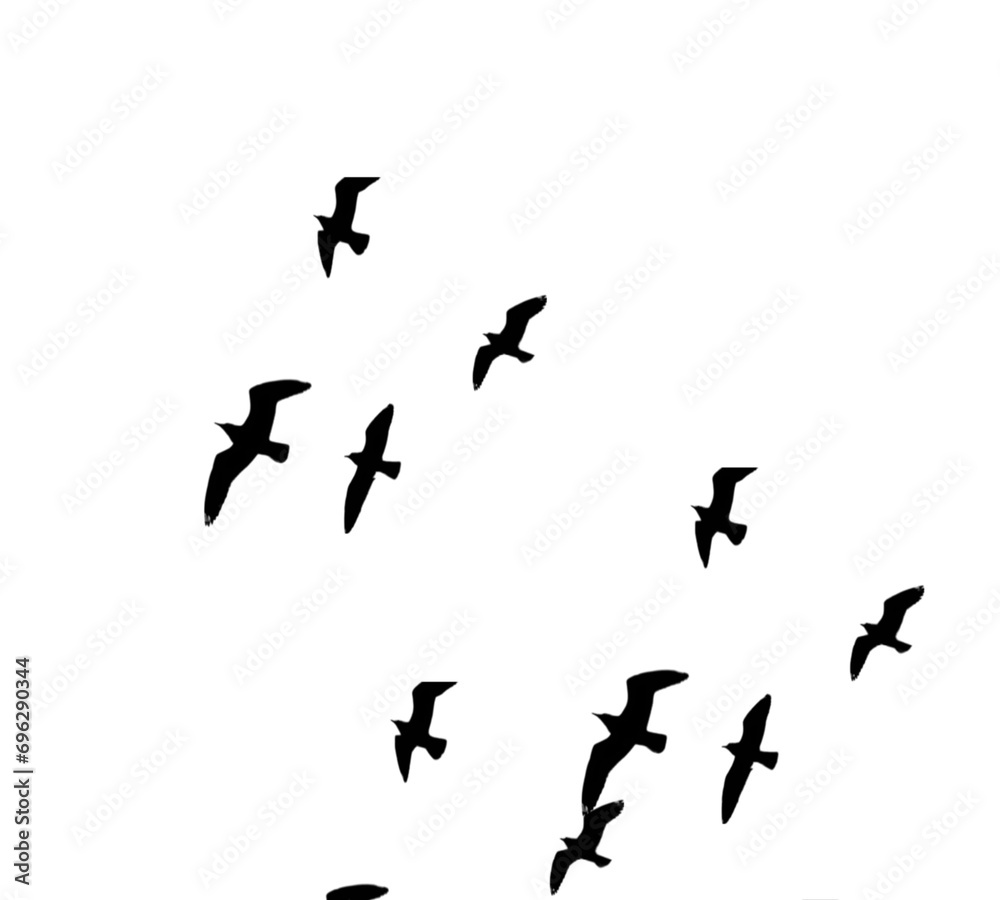silhouettes of birds silhouettes of birds