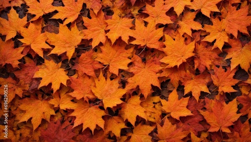 Maple leaf border background