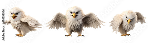 Group of baby Baby eagle multi pose, isolated on transparent or white background