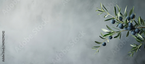 Olive branch with dark blue olives on a subtle grey textured background, evoking elegance and nature. photo