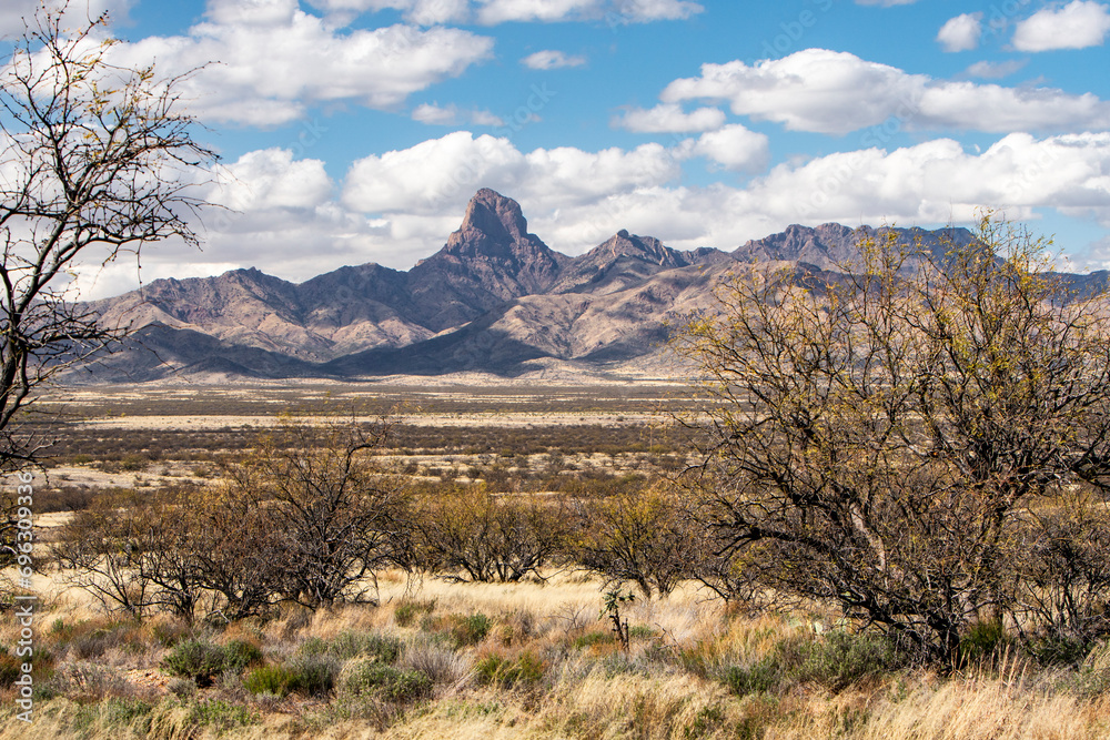 Desert of Southern Arizona with the Baboquibare mountain, USA.