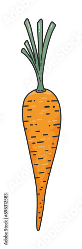 Organic carrot doodle cute icon. Orange carrot with green stems, textured. Natural food concept, cooking ingredients. Concept of healthy food, vegan products