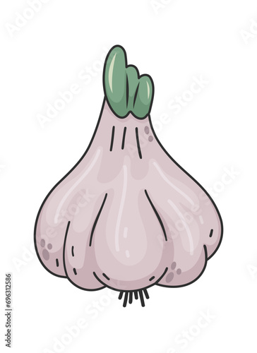 Garlic hand-drawn textured vector doodle style cartoon illustration. Sprouting garlic isolated on white background, natural food concept, cooking ingredients. Concept of healthy food, vegan products