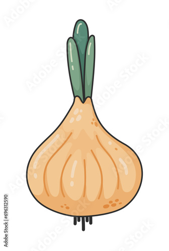 Cartoon doodle onion, textured. Vegetables for a healthy diet. Cute green onion. Natural product. Cartoon drawing for recipe book, banner, decoration