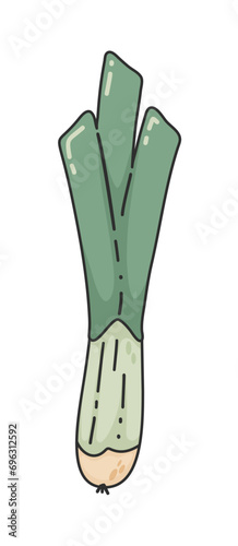 Leek hand-drawn, textured illustration. Green Leek, eco plant. Vector doodle style cartoon illustration. Natural food concept, cooking ingredients. Concept of healthy food, vegan products