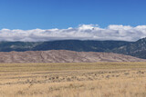 General view of the Great Sand Dunes seen fron the access road