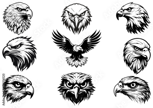 eagle logo template vector logo vector	 photo