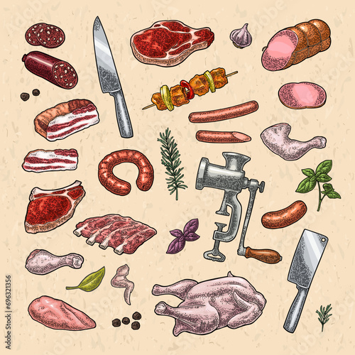 Set meat products and kitchen equipment. Brisket, sausage, meat grinder, steak, chicken leg, knife, ribs, basil, thyme. Vintage color vector engraving illustration. Isolated on white background.