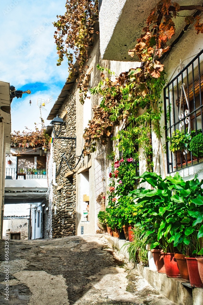 Fototapeta premium calles de pampaneira con sus flores y patios