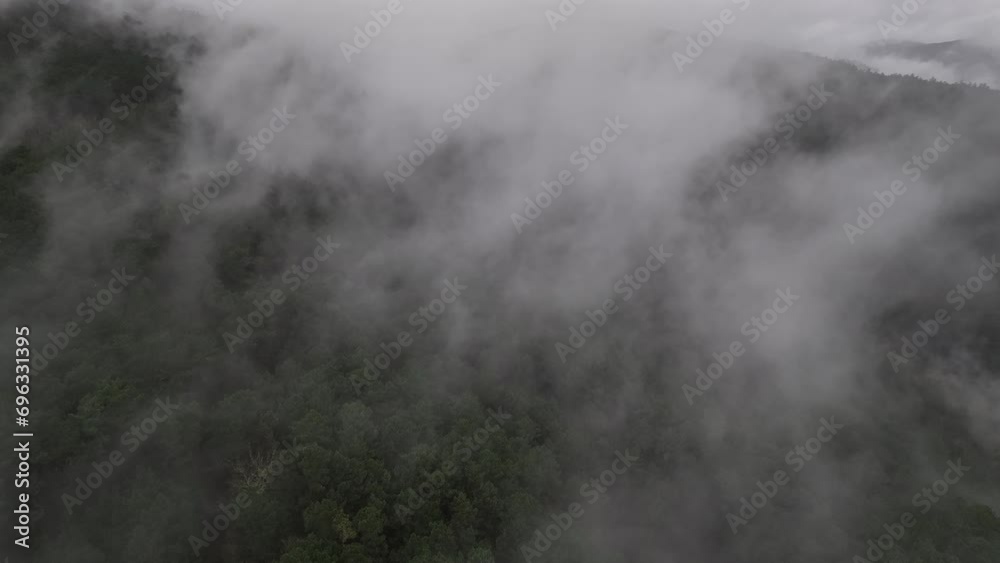 Niebla entre montañas Niebla entre montañas