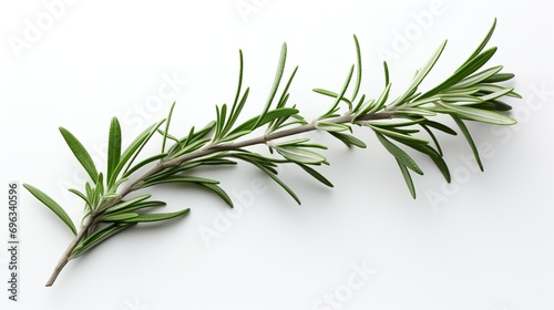 A rosemary twig on a white backdrop, isolated, close up, copy space, herbal, Generative AI.