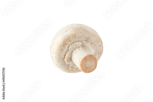 Canvas Print White champignon mushroom button isolated transparent png