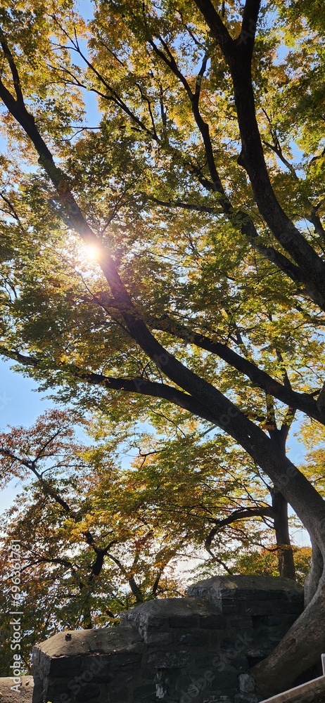 대한민국 서울 남산 10월 가을 여행 하늘 Korea Seoul Namsan October Fall travel sky 대한민국 서울 남산 10월 가을 여행 하늘 Korea Seoul Namsan October Fall travel sky