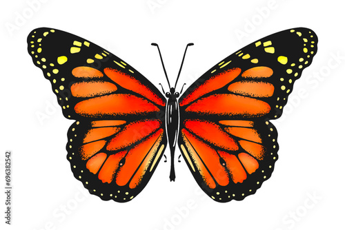 Sketch of a butterfly, hand drawn in ink and watercolor. Insect silhouette. Isolated on white background. Vector. © olgadanilina