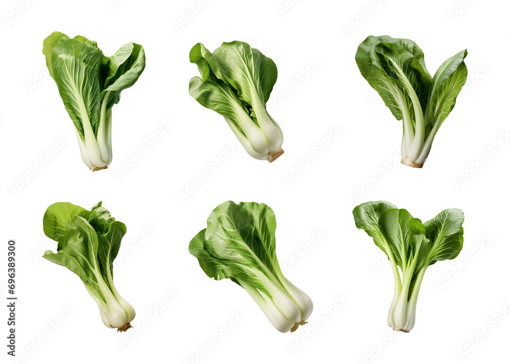 collection of bok choy vegetables isolated on a transparent background