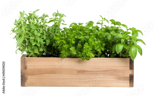 Natural Wooden Herb Sanctuary On Transparent PNG