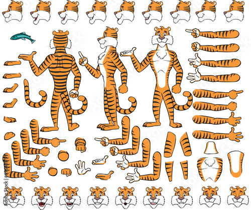 Vector cartoon style tiger character for animation. Different emotions, gestures and poses. Isolated vector illustration.