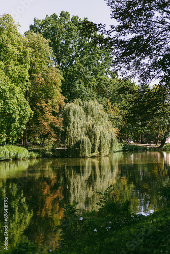lake in the park