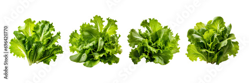 Set of Fresh cluster of crisp verdant salad leaves, isolated over on white transparent background © Mithun
